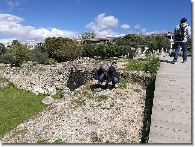 Clicca per scorrere le foto originali ingrandite