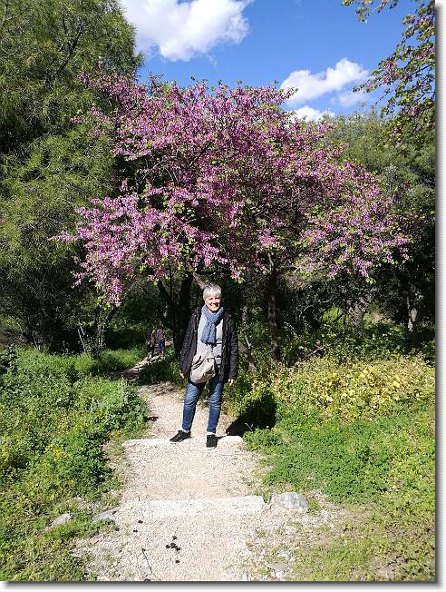 Clicca per scorrere le foto originali ingrandite