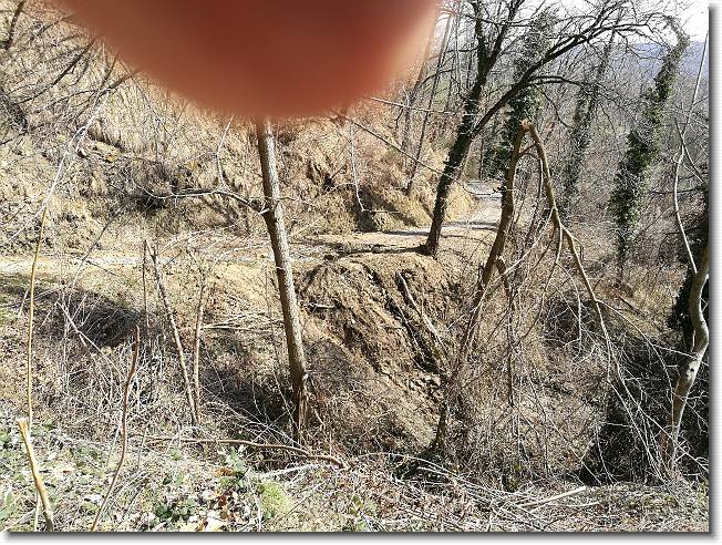 Clicca per scorrere le foto originali ingrandite