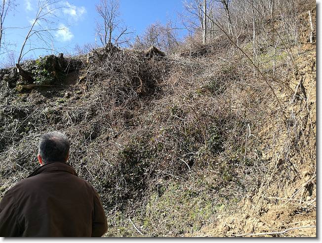 Clicca per scorrere le foto originali ingrandite