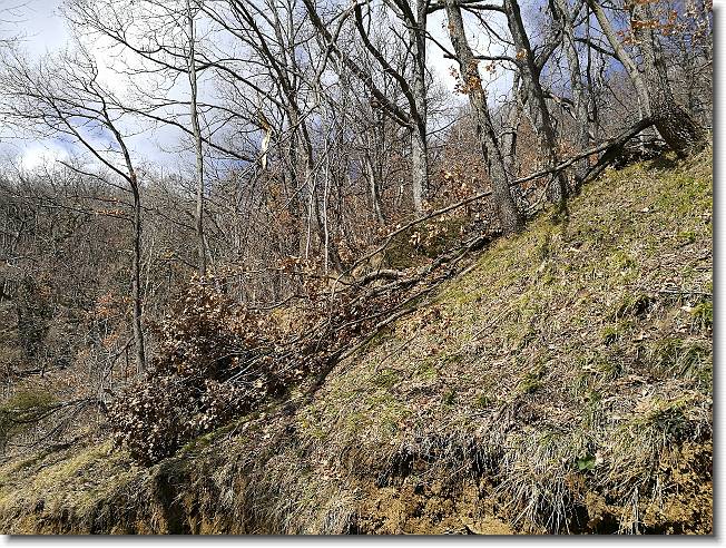 Clicca per scorrere le foto originali ingrandite