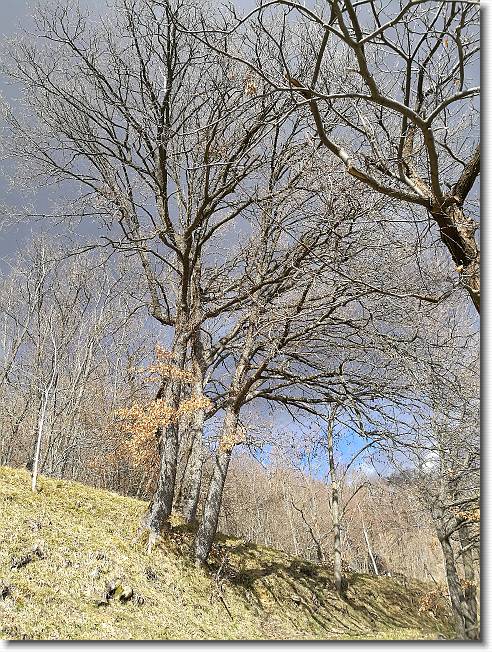 Clicca per scorrere le foto originali ingrandite