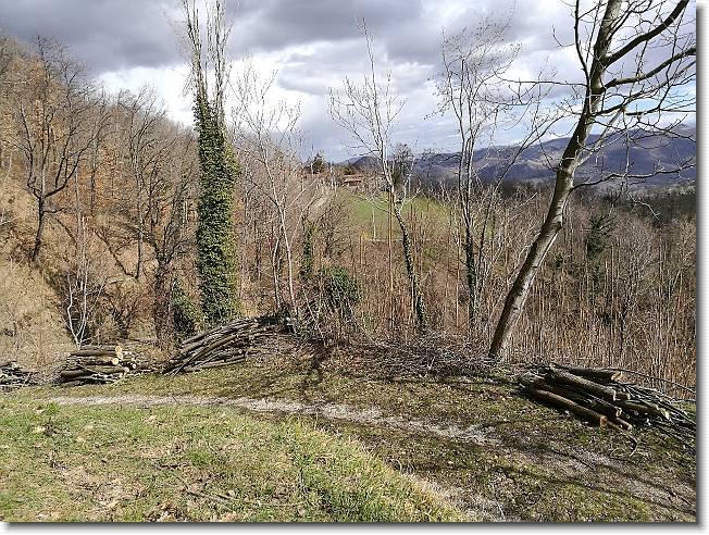 Clicca per scorrere le foto originali ingrandite