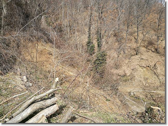 Clicca per scorrere le foto originali ingrandite