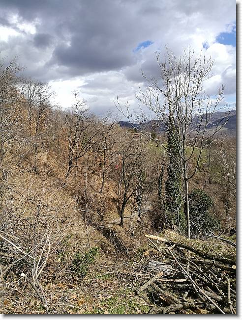 Clicca per scorrere le foto originali ingrandite