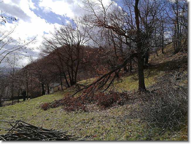 Clicca per scorrere le foto originali ingrandite