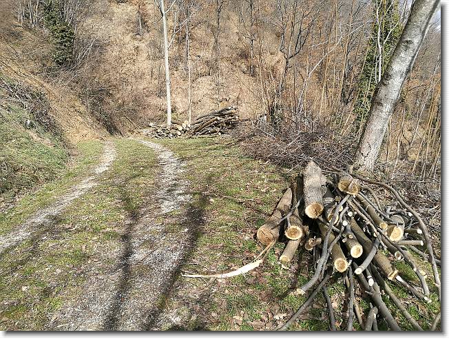 Clicca per scorrere le foto originali ingrandite