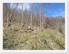 IMG_20180313_115021 * cof * cof * 3968 x 2976 * (3.93MB)
