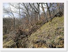 IMG_20180313_121225 * cof * cof * 3968 x 2976 * (4.11MB)