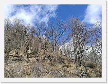 IMG_20180313_121332 * cof * cof * 3968 x 2976 * (3.61MB)