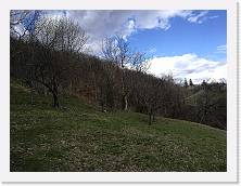 IMG_20180313_150411 * cof * cof * 3968 x 2976 * (2.5MB)