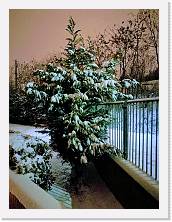 IMG_20180301_213433-EFFECTS * 2976 x 3968 * (2.93MB)