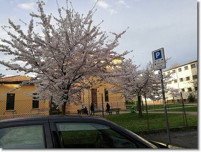 Clicca per scorrere le foto originali ingrandite