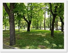 IMG_20180429_112226 * cof * cof * 3968 x 2976 * (3.02MB)