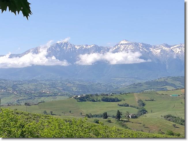 Clicca per scorrere le foto originali ingrandite