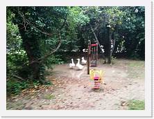 IMG_20180523_195603 * dav * dav * 3968 x 2976 * (599KB)