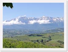 IMG_20180524_093241 * dig * dig * 3968 x 2976 * (414KB)