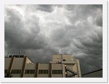 IMG_20180716_164525 * cof * cof * 3968 x 2976 * (321KB)