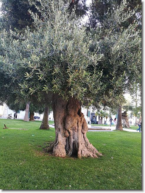 Clicca per scorrere le foto originali ingrandite