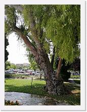 IMG_20180723_131610 * cof * cof * 2976 x 3968 * (2.56MB)