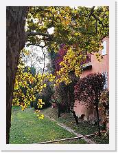 IMG_20181021_155047 * cof * cof * 2976 x 3968 * (1.79MB)