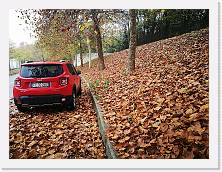 IMG_20181123_110031 * cof * cof * 3968 x 2976 * (2.8MB)