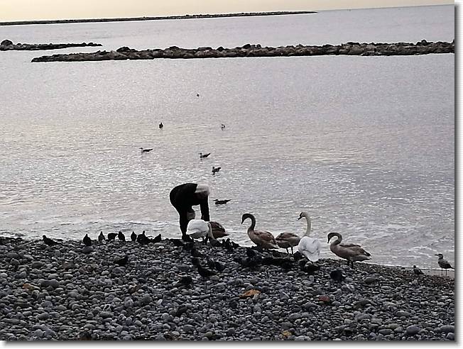 Clicca per scorrere le foto originali ingrandite