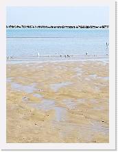 IMG_20190217_114528 * cof * cof * 2976 x 3968 * (387KB)