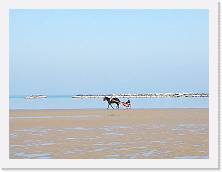 IMG_20190217_141052 * cof * cof * 3968 x 2976 * (240KB)