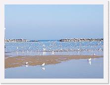 IMG_20190217_141940 * cof * cof * 3968 x 2976 * (350KB)