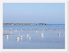 IMG_20190217_141943 * cof * cof * 3968 x 2976 * (326KB)