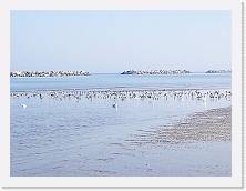 IMG_20190217_141949 * cof * cof * 3968 x 2976 * (382KB)