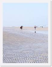 IMG_20190217_142059 * cof * cof * 2976 x 3968 * (461KB)