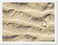 IMG_20190217_142137 * cof * cof * 3968 x 2976 * (872KB)