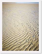 IMG_20190217_142201 * cof * cof * 2976 x 3968 * (2.49MB)
