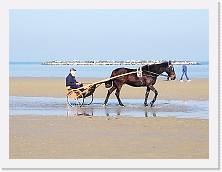 IMG_20190217_142209 * cof * cof * 3968 x 2976 * (339KB)