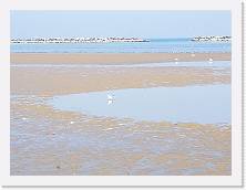 IMG_20190217_143217 * cof * cof * 3968 x 2976 * (333KB)