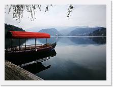 IMG_20190413_190018 * cof * cof * 3968 x 2976 * (704KB)