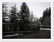 IMG_20190414_113508 * edf * edf * 3968 x 2976 * (2.61MB)