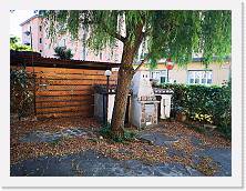 IMG_20190729_190004 * smacap_Bright * smacap_Bright * 3648 x 2736 * (2.68MB)