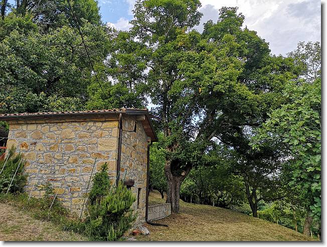 Clicca per scorrere le foto originali ingrandite