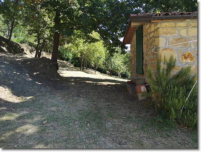 Clicca per scorrere le foto originali ingrandite