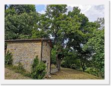 IMG_20190815_180329 * 3648 x 2736 * (6.67MB)