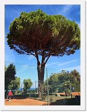 IMG_20190912_110505 * 2736 x 3648 * (5.29MB)