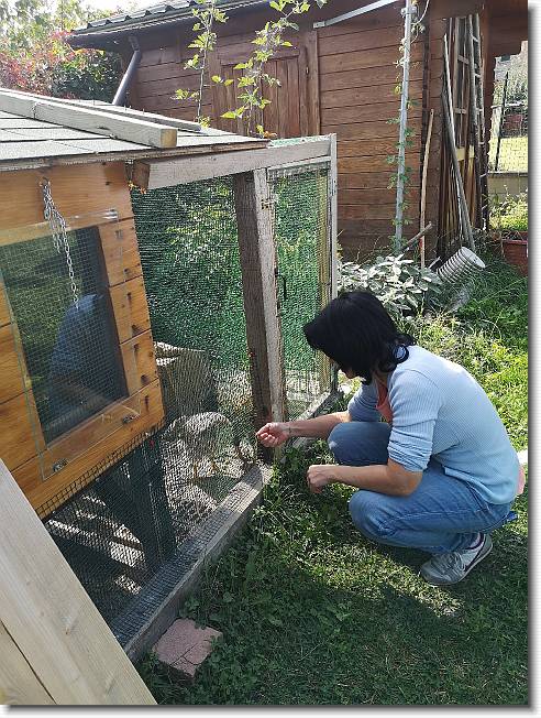 Clicca per scorrere le foto originali ingrandite