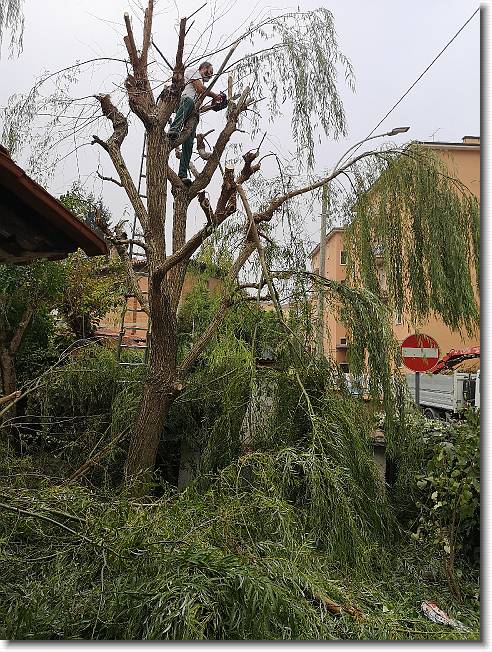 Clicca per scorrere le foto originali ingrandite