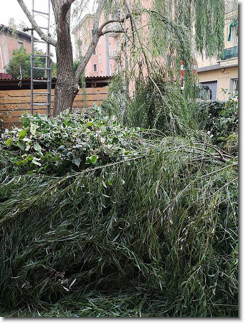 Clicca per scorrere le foto originali ingrandite