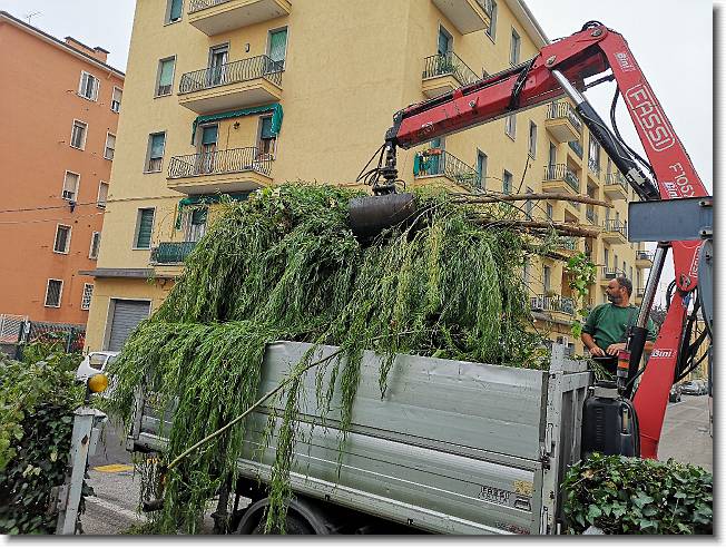 Clicca per scorrere le foto originali ingrandite