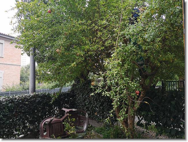 Clicca per scorrere le foto originali ingrandite