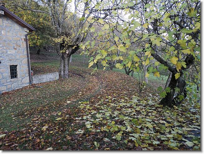Clicca per scorrere le foto originali ingrandite